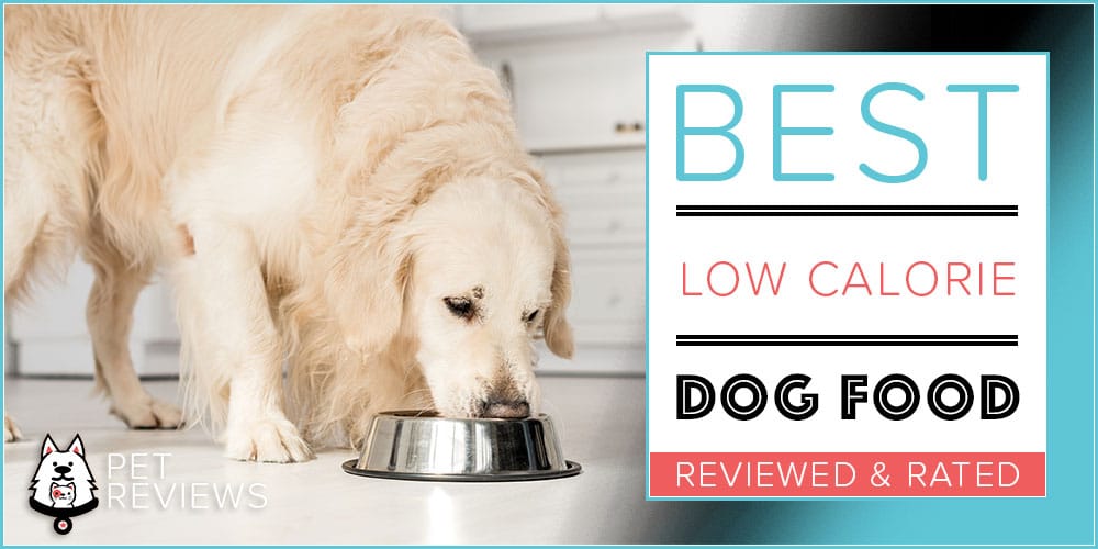 Photo inspiration: Low Calorie Dog Food Reference: 10 Best Diet Low Calorie Dog Foods For Weight Loss