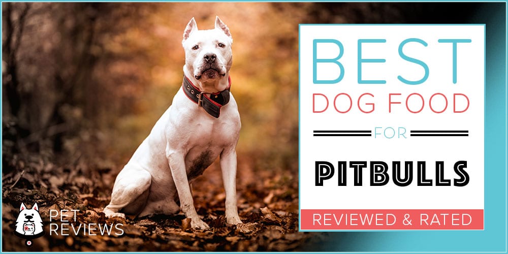10 Best Dog Foods for Pitbulls Our 2024 Bully Feeding Guide