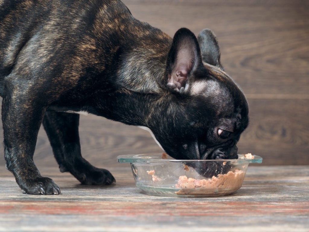 commercial dog food ratings