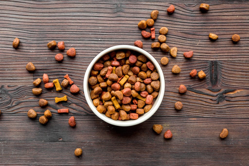 dog food reviews
