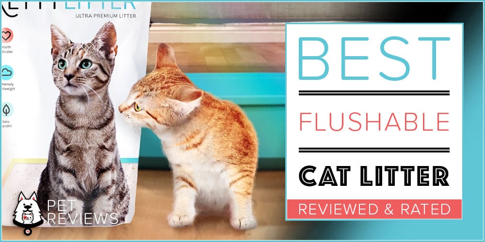 6 Best Flushable Cat Litters With Our 2024 BudgetFriendly Pick
