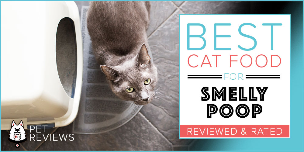 11 Best Cat Foods for Smelly Poop (Low Odor Feces) in 2024