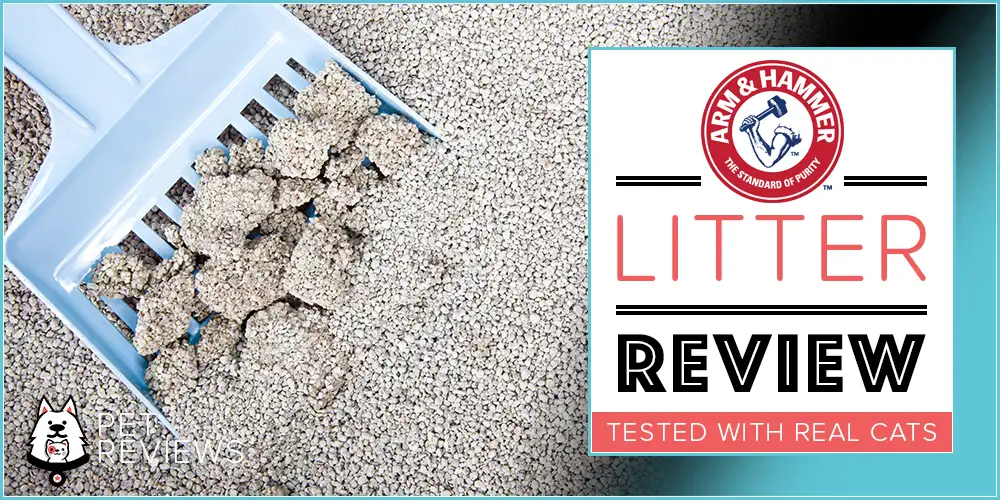 Arm & Hammer Cat Litter Review
