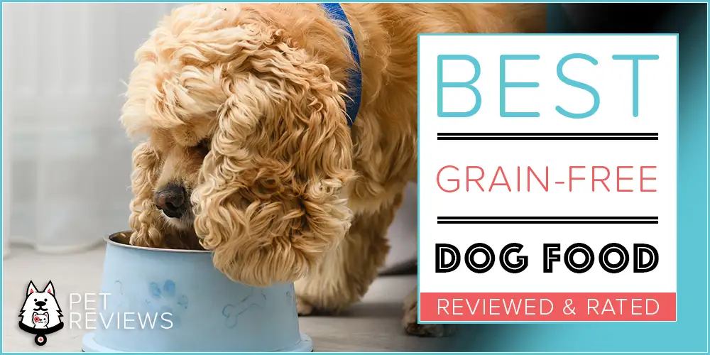10 Best Grain Free Dog Foods with our Most Affordable Pick 10 Best Grain Free Dog Foods with our Most Affordable Pick