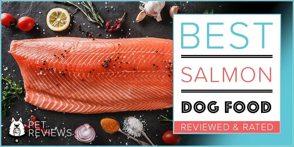 Best Salmon Dog Food