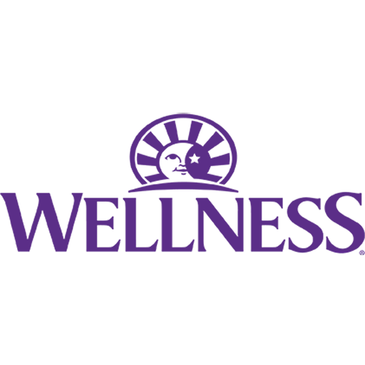 Wellness Logo
