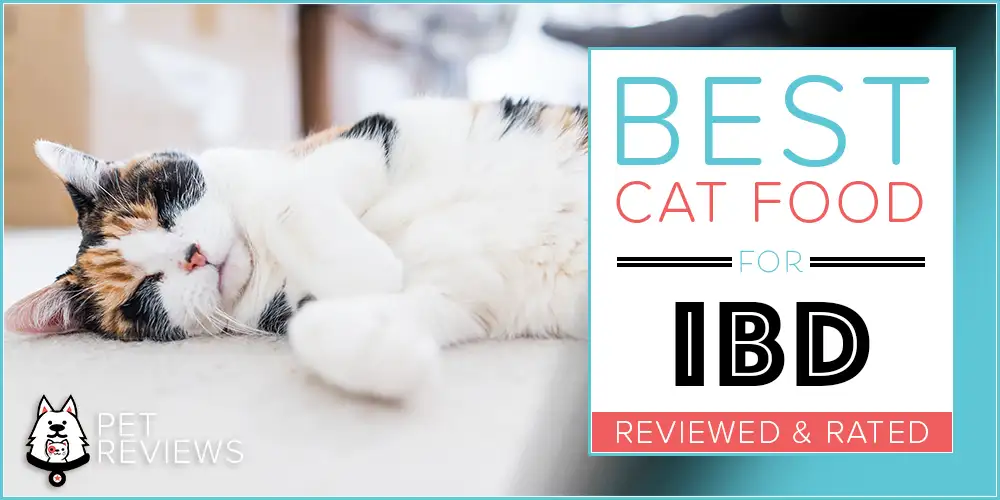 Best Cat Food for IBD