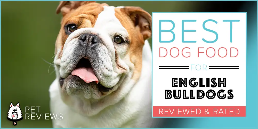 Best Dog Food for Bulldogs