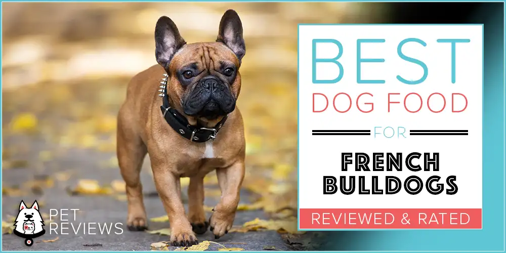 Best Dog Food for French Bulldogs