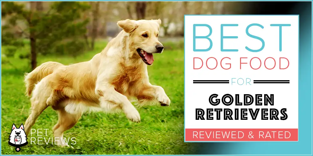 Best Dog Food for Golden Retrievers