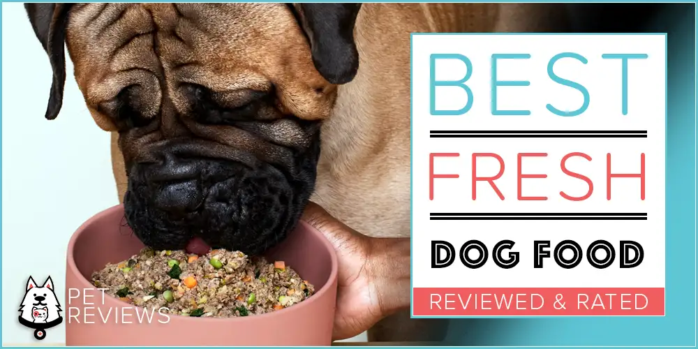 Best Fresh Dog Food