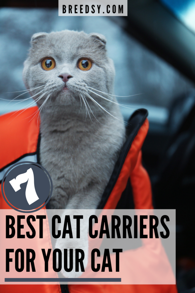 7 Best Picks for the Best Cat Carrier