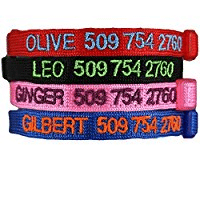 GoTags Custom Embroidered Cat ID Collar