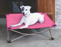 Carlson Pet Products Portable Pup Travel Pet Bed