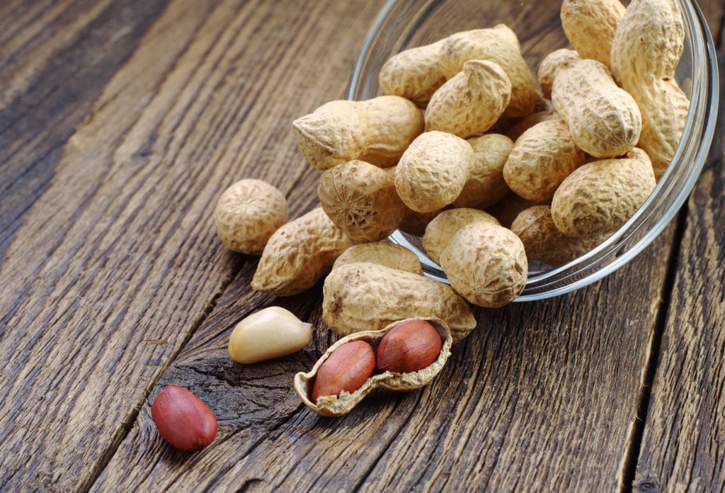 Can Cats Eat Peanuts?