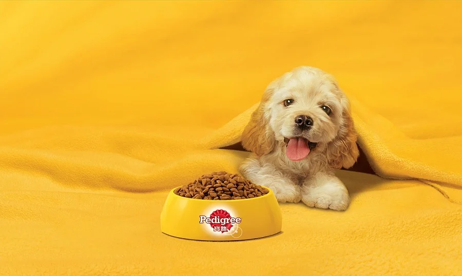 pedigree foods